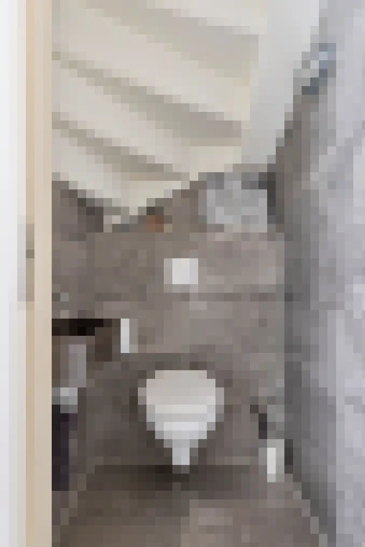 Wegaplein 3 Oude-Tonge thumbnail 7