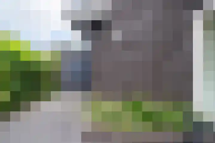 Wegastraat 1 Zuidhorn thumbnail 11