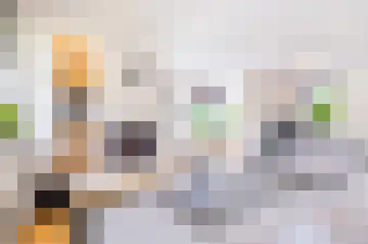 Wegastraat 1 Zuidhorn foto 2