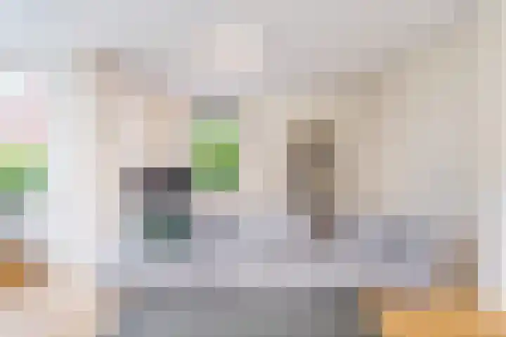Wegastraat 1 Zuidhorn thumbnail 21