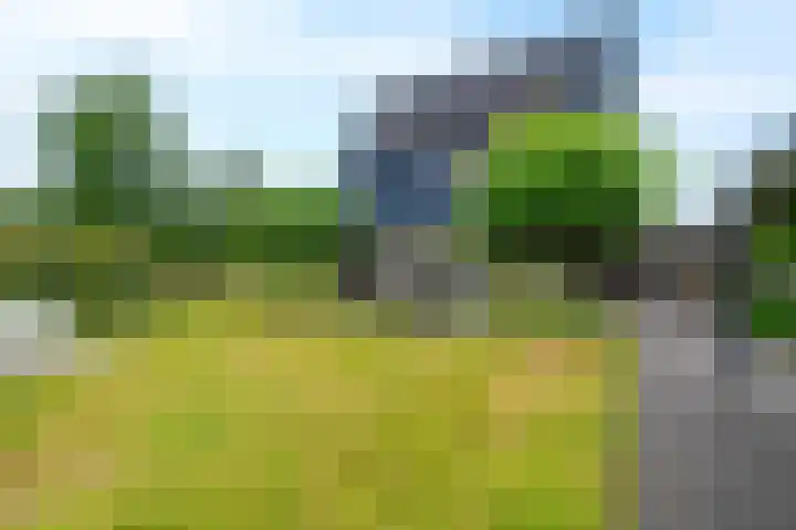 Wegastraat 1 Zuidhorn thumbnail 7