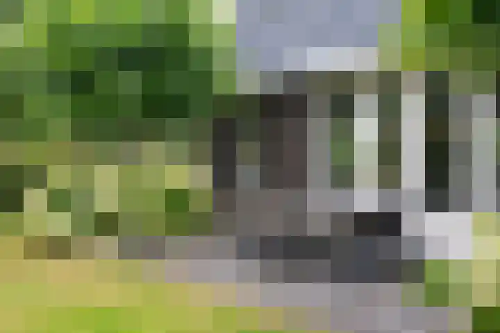 Wegastraat 1 Zuidhorn thumbnail 71