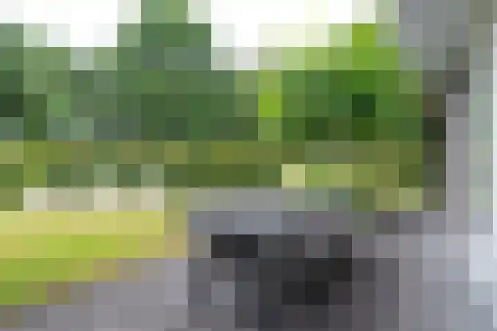 Wegastraat 1 Zuidhorn thumbnail 72