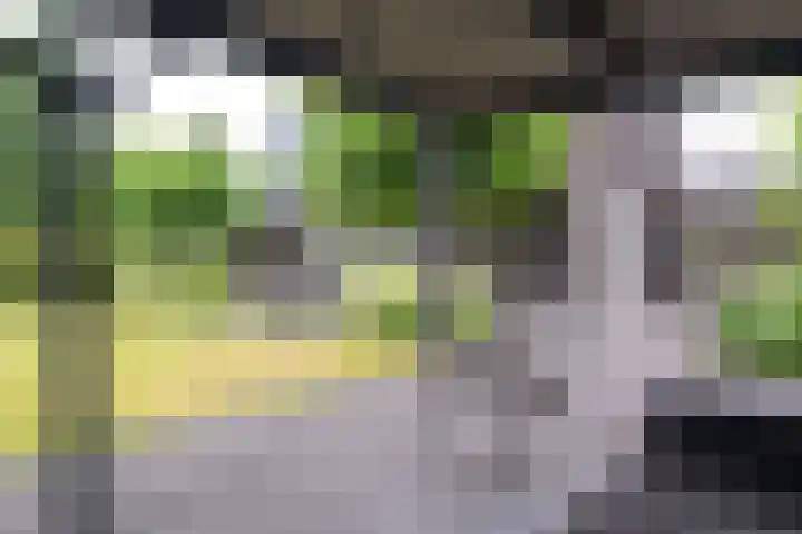 Wegastraat 1 Zuidhorn thumbnail 76