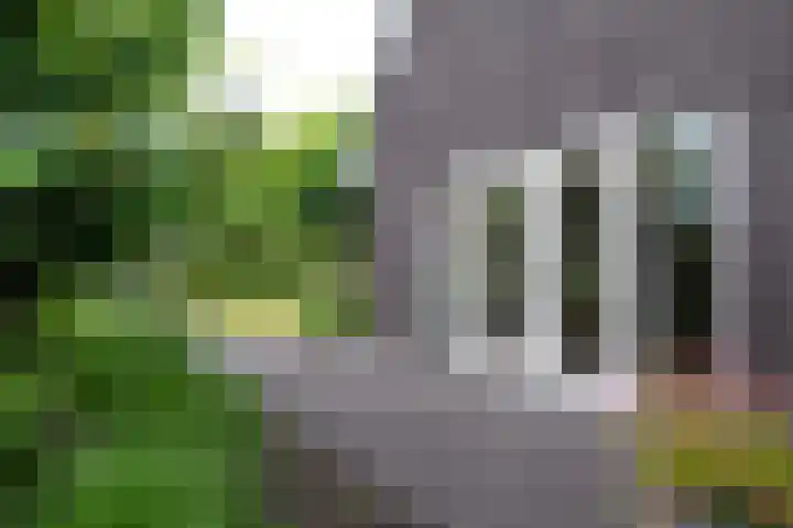 Wegastraat 1 Zuidhorn thumbnail 77