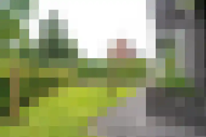 Wegastraat 1 Zuidhorn thumbnail 79