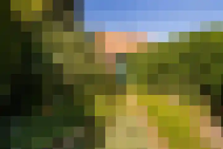 Wegastraat 21 Hilversum thumbnail 15