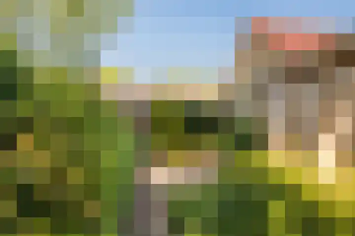 Wegastraat 21 Hilversum thumbnail 17