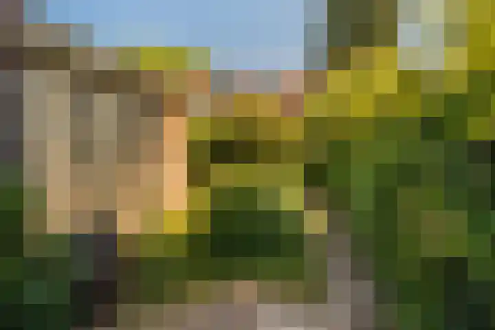 Wegastraat 21 Hilversum thumbnail 19