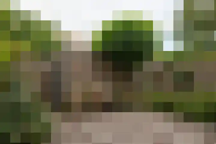 Wegastraat 26 Alphen aan den Rijn thumbnail 13