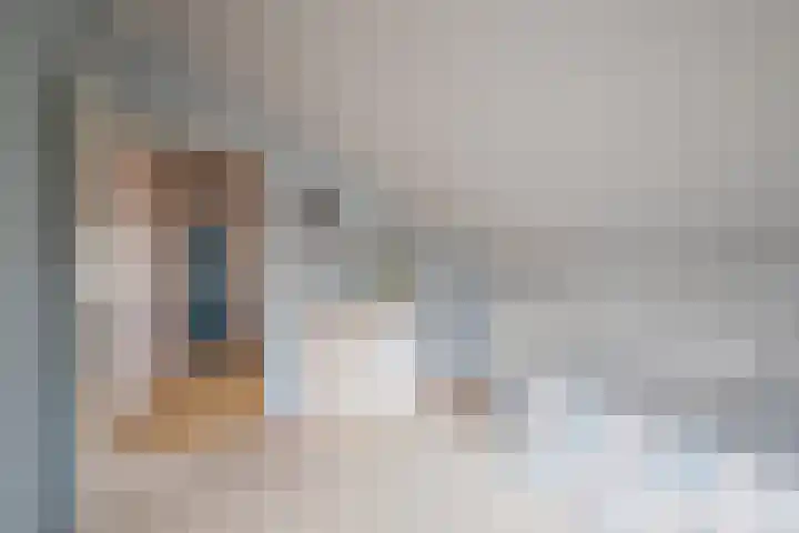 Wegastraat 26 Alphen aan den Rijn thumbnail 37