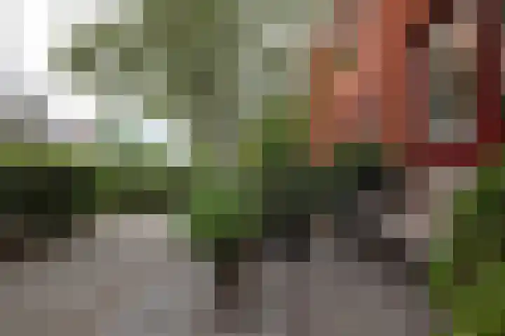 Wegastraat 26 Alphen aan den Rijn thumbnail 6