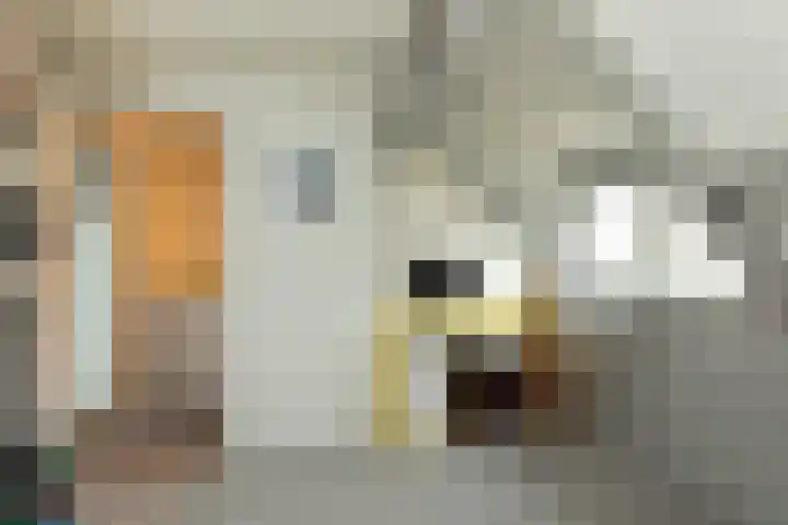 Wegastraat 28 Hilversum thumbnail 24
