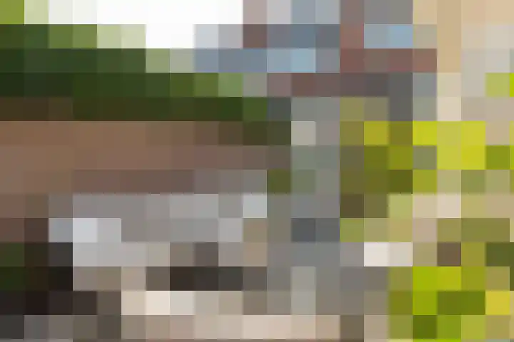 Wegastraat 3 Hilversum thumbnail 25