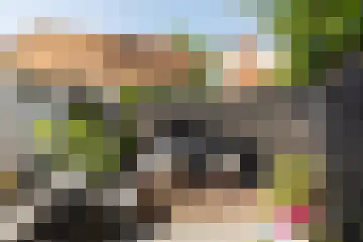 Wegastraat 3 Hilversum thumbnail 28