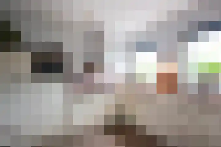 Wegastraat 30 Alphen aan den Rijn thumbnail 8
