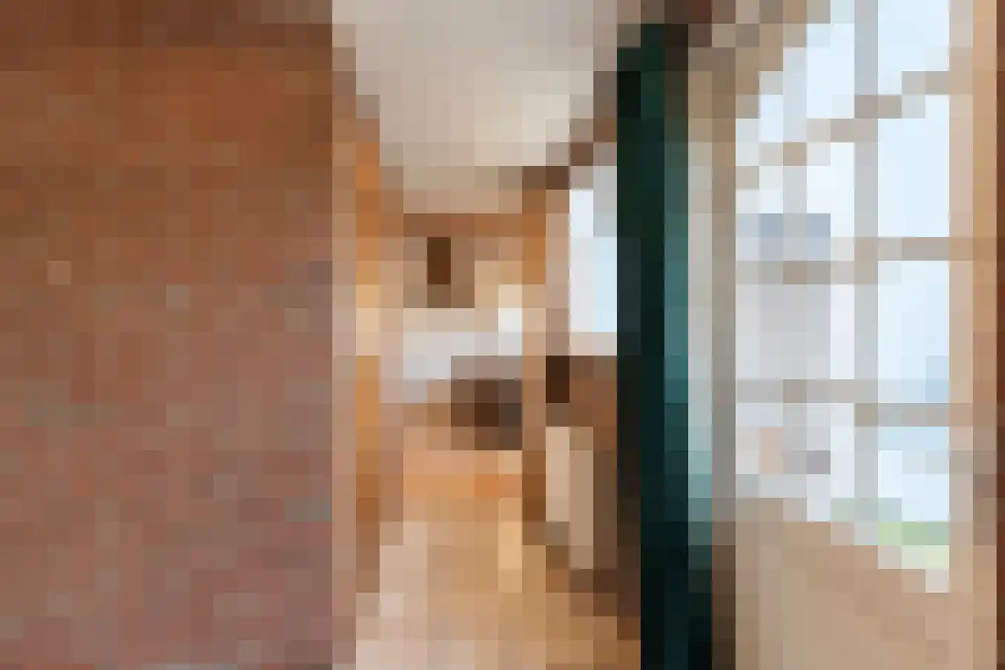 Wegastraat 39 Hilversum thumbnail 15
