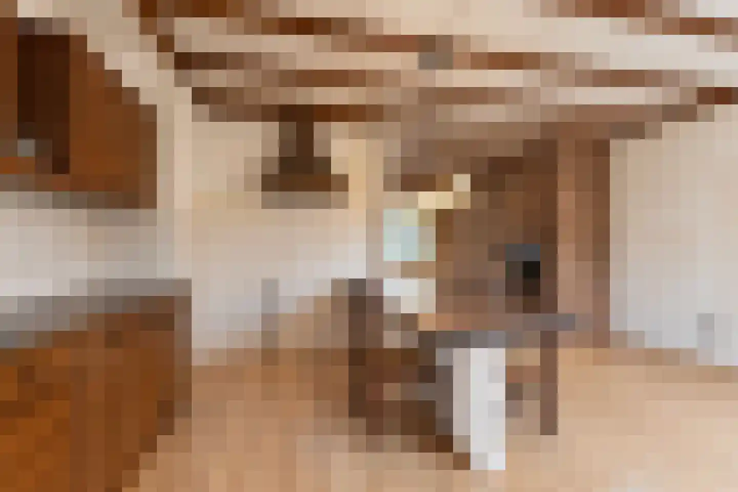 Wegastraat 39 Hilversum thumbnail 9