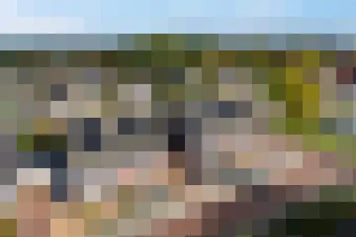 Wegastraat 5 Delfzijl thumbnail 8