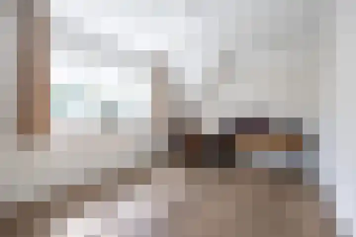 Wegastraat 8 Zuidhorn thumbnail 35