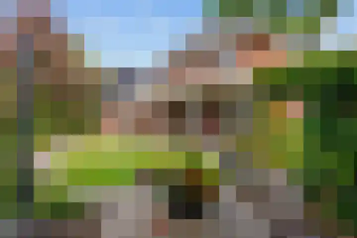 Wegastraat 8 Zuidhorn thumbnail 47