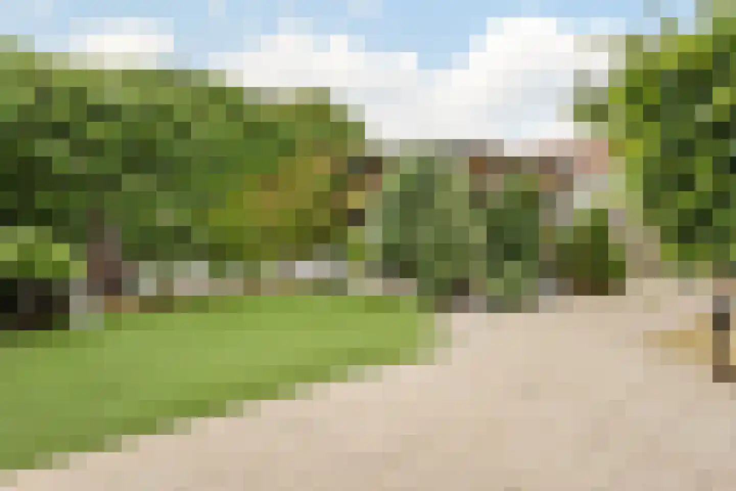Wegedoorn 104 Cuijk thumbnail 21
