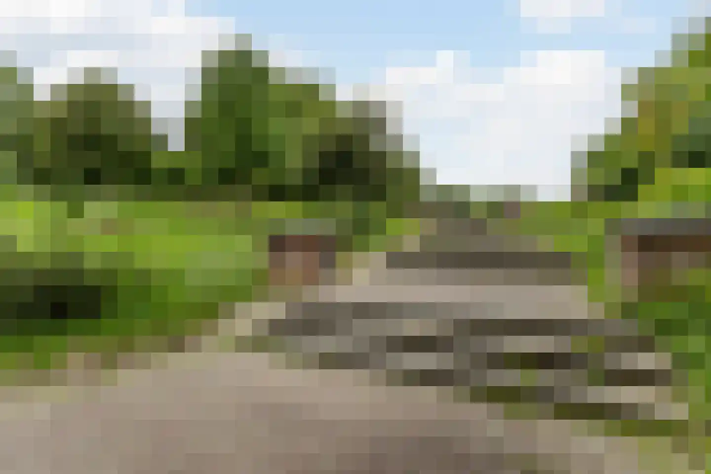 Wegedoorn 104 Cuijk thumbnail 27
