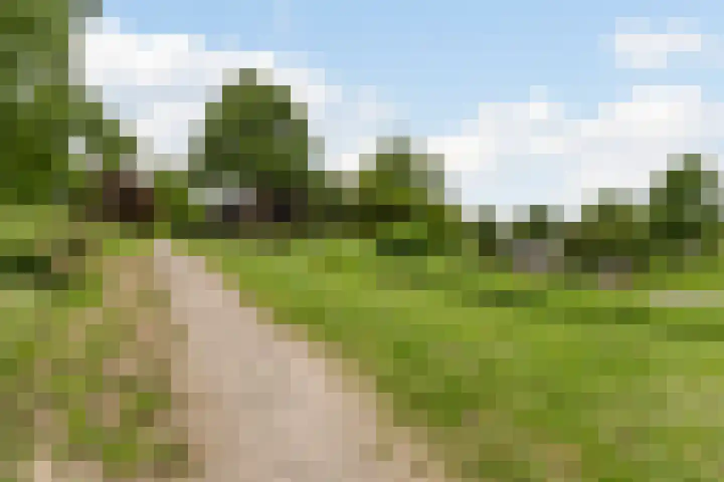 Wegedoorn 104 Cuijk thumbnail 28