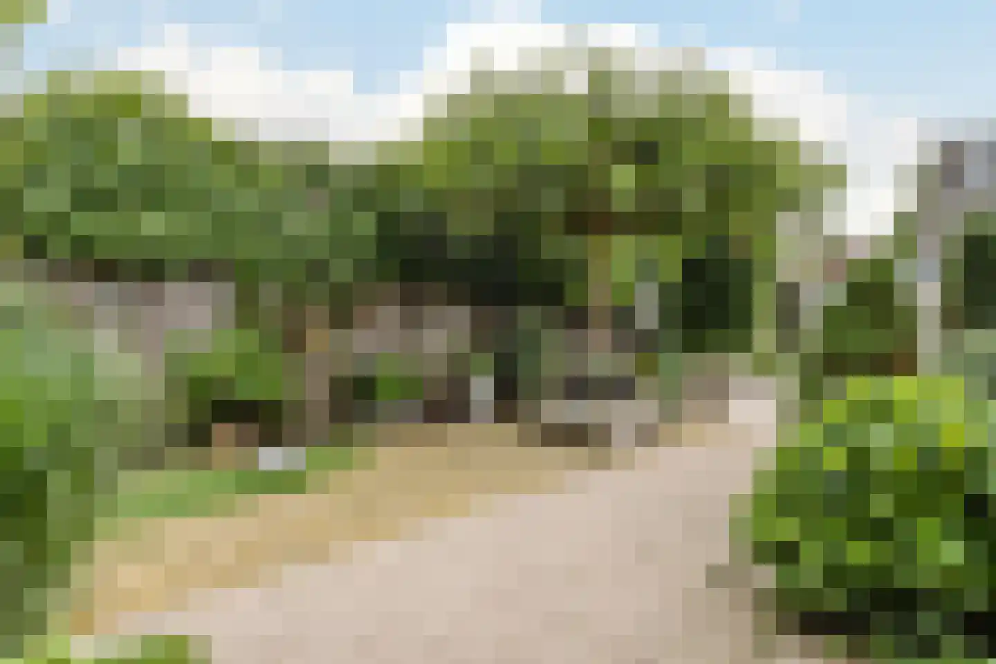 Wegedoorn 104 Cuijk thumbnail 4