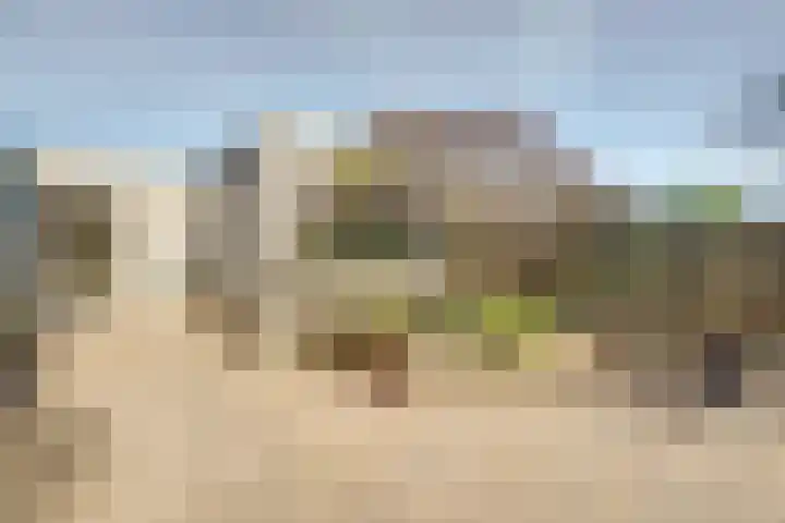 Wegedoorn 116 Cuijk thumbnail 33