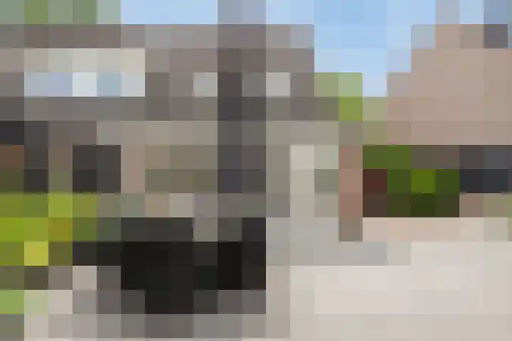 Wegedoorn 213 Cuijk thumbnail 32