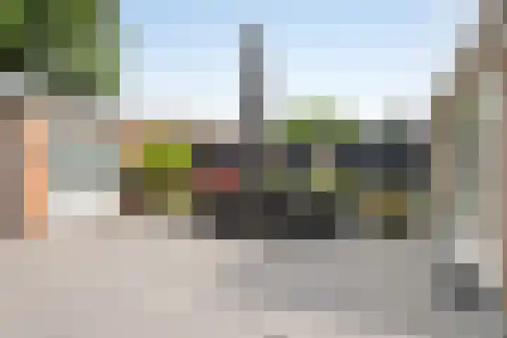 Wegedoorn 213 Cuijk thumbnail 33