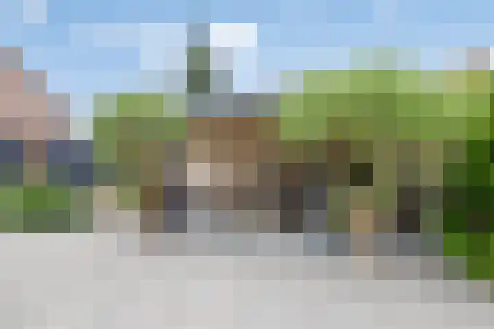 Wegedoorn 213 Cuijk thumbnail 36