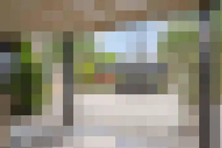 Wegedoorn 213 Cuijk thumbnail 39