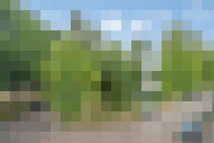 Wegedoorn 213 Cuijk thumbnail 43