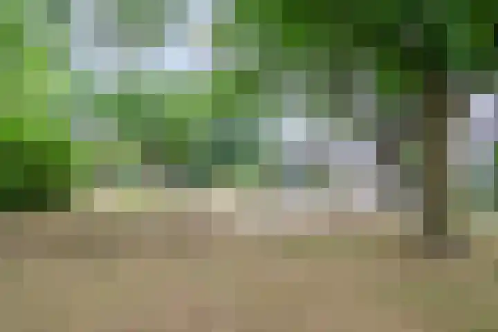 Wegedoorn 213 Cuijk thumbnail 44