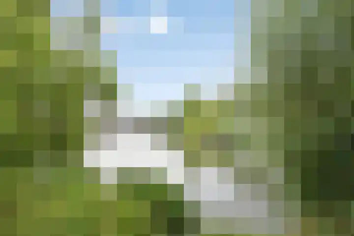 Wegedoorn 213 Cuijk thumbnail 45