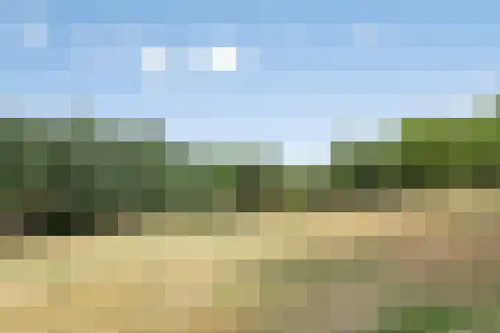 Wegedoorn 213 Cuijk thumbnail 47