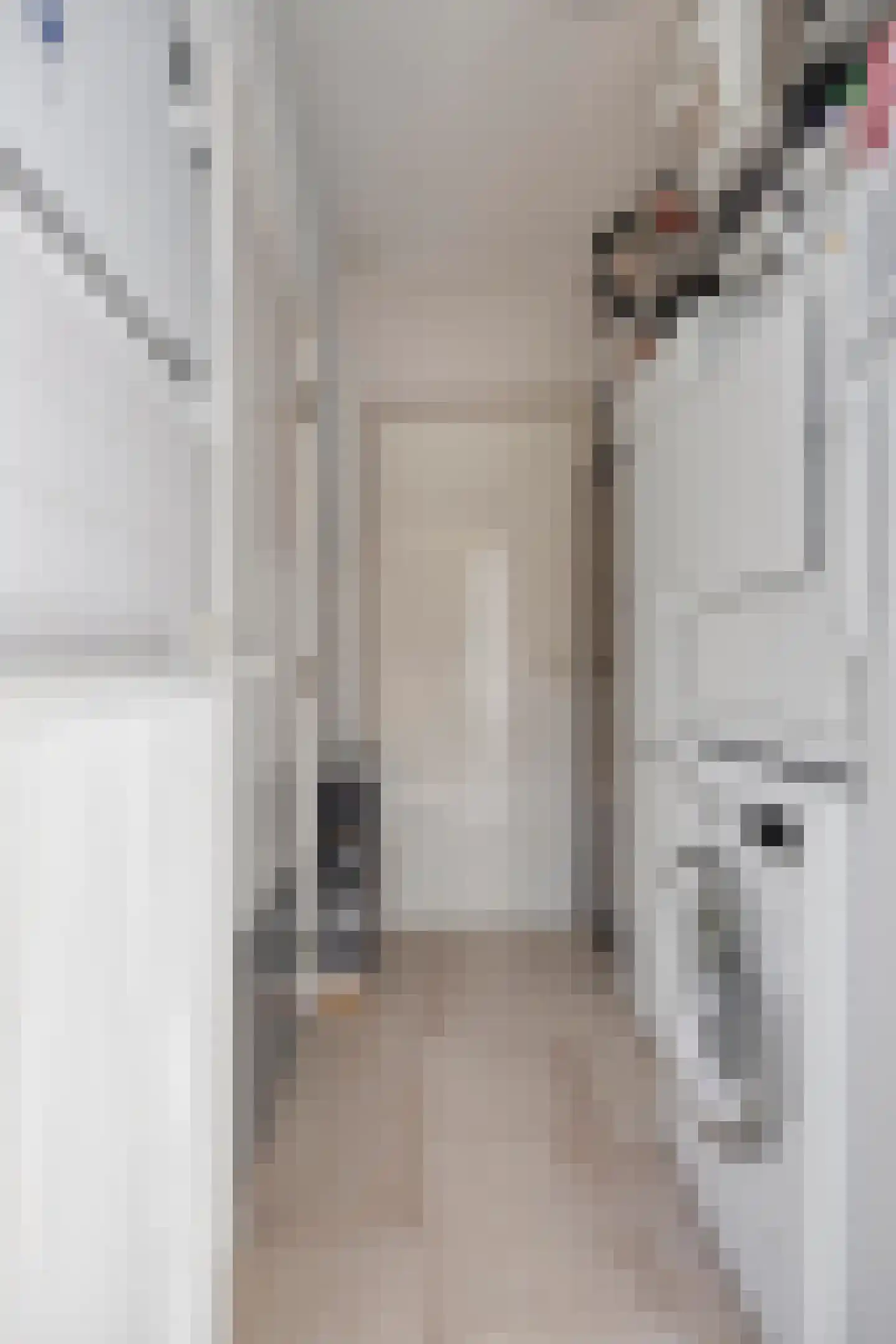 Wegedoorn 31 Geldrop thumbnail 10