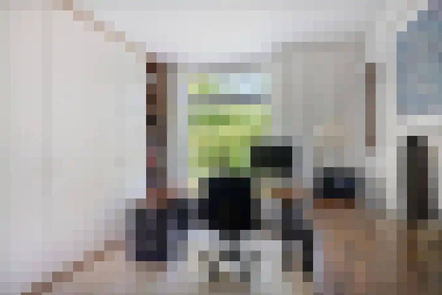 Wegedoorn 31 Geldrop thumbnail 17
