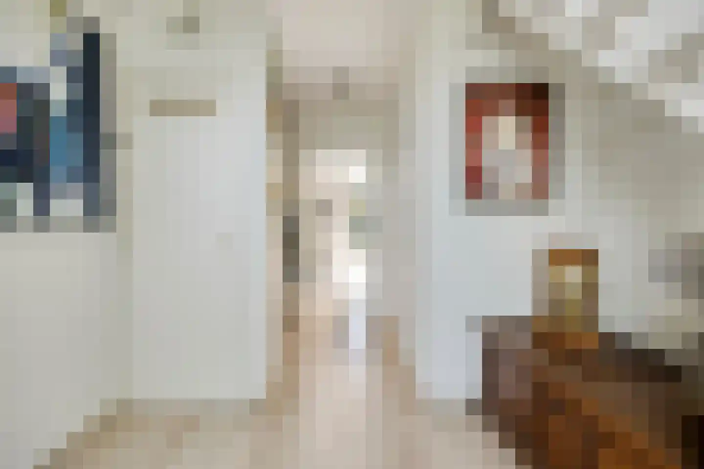 Wegedoorn 31 Geldrop thumbnail 19