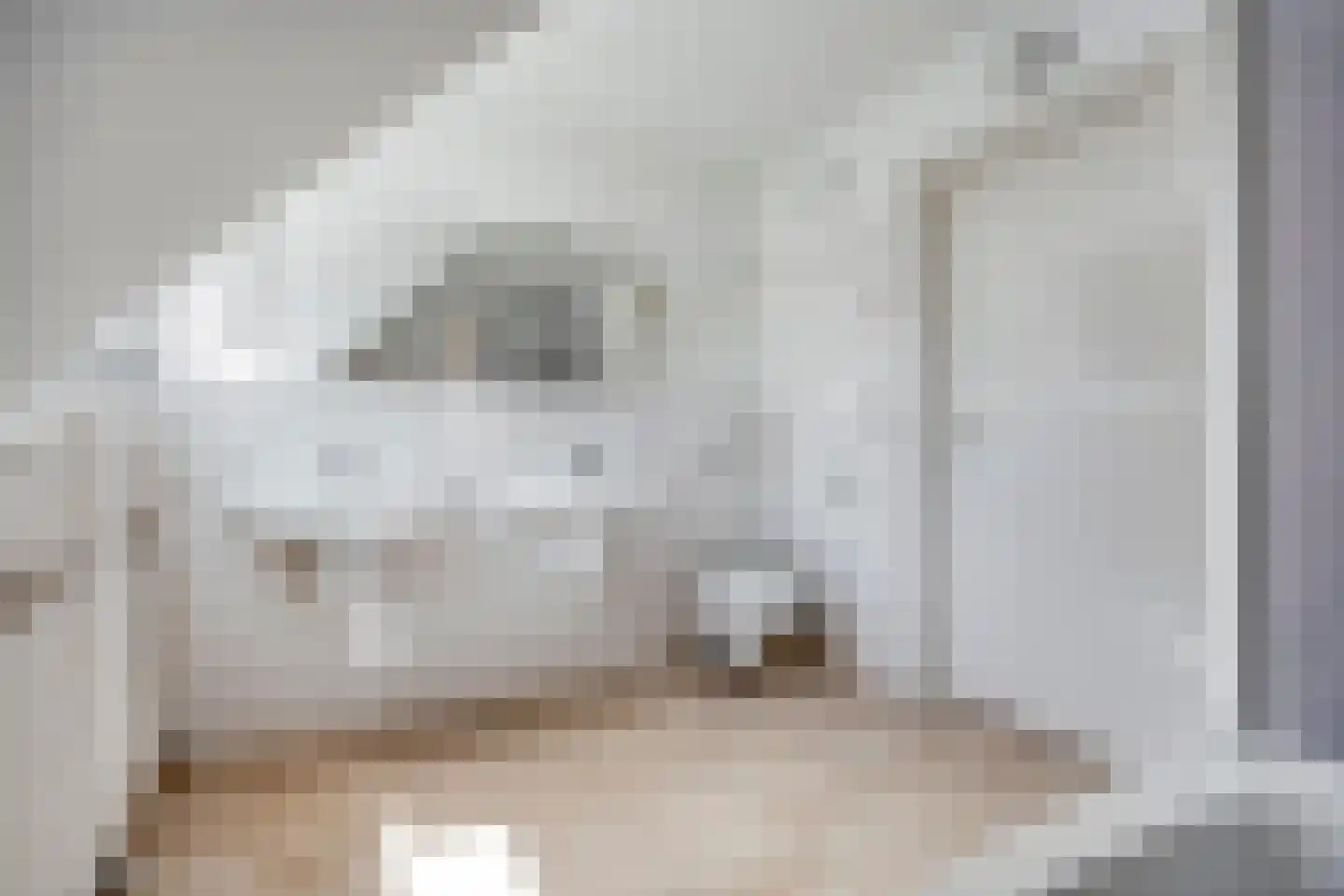 Wegedoorn 31 Geldrop thumbnail 27