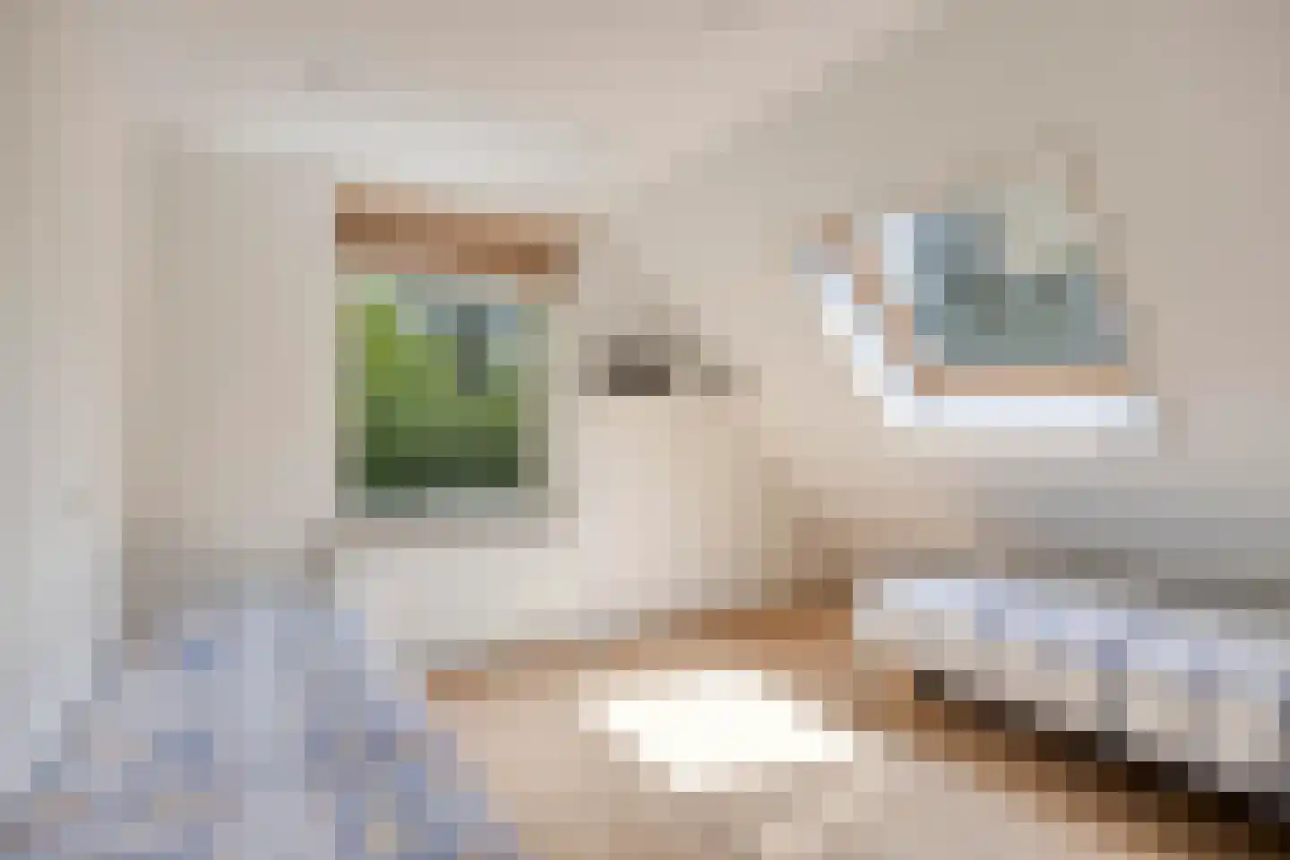 Wegedoorn 31 Geldrop thumbnail 31