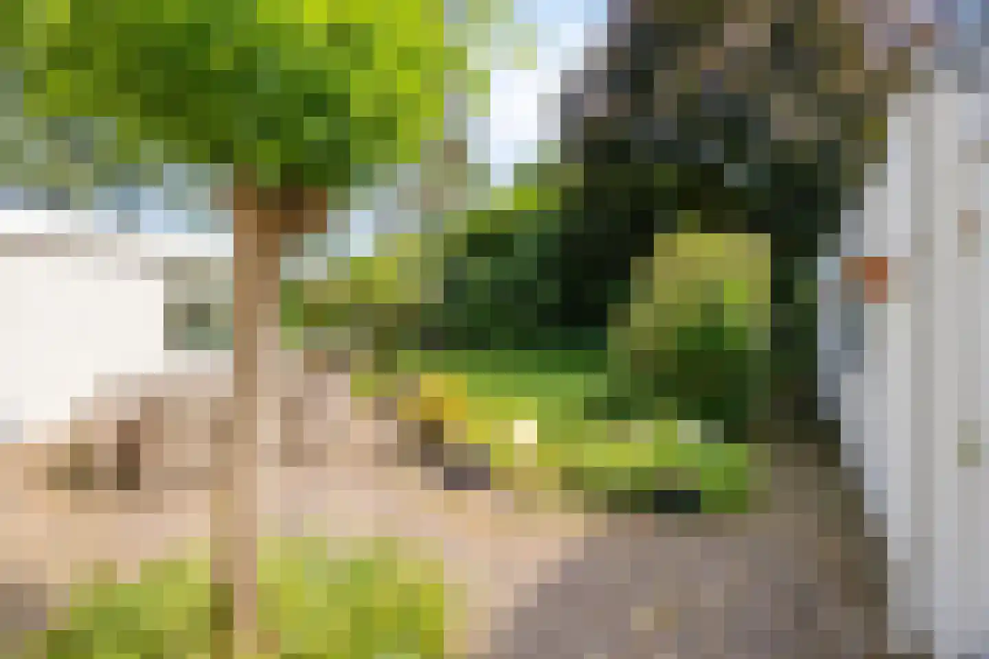 Wegedoorn 31 Geldrop thumbnail 36