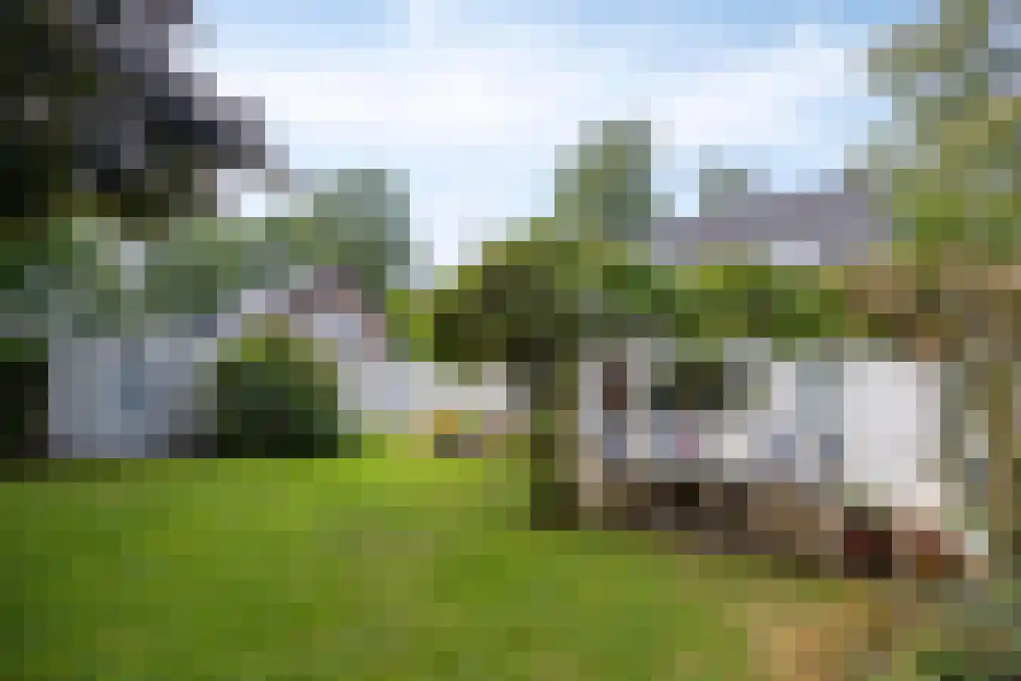 Wegedoorn 31 Geldrop thumbnail 37