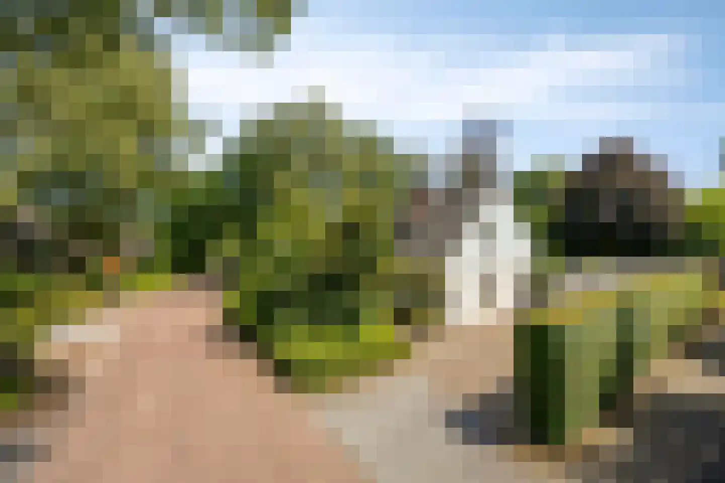 Wegedoorn 31 Geldrop thumbnail 41