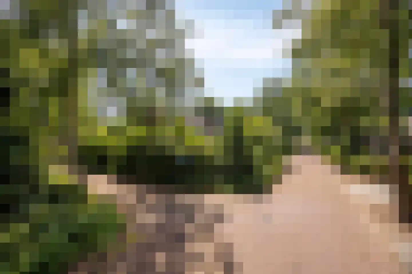 Wegedoorn 31 Geldrop thumbnail 43