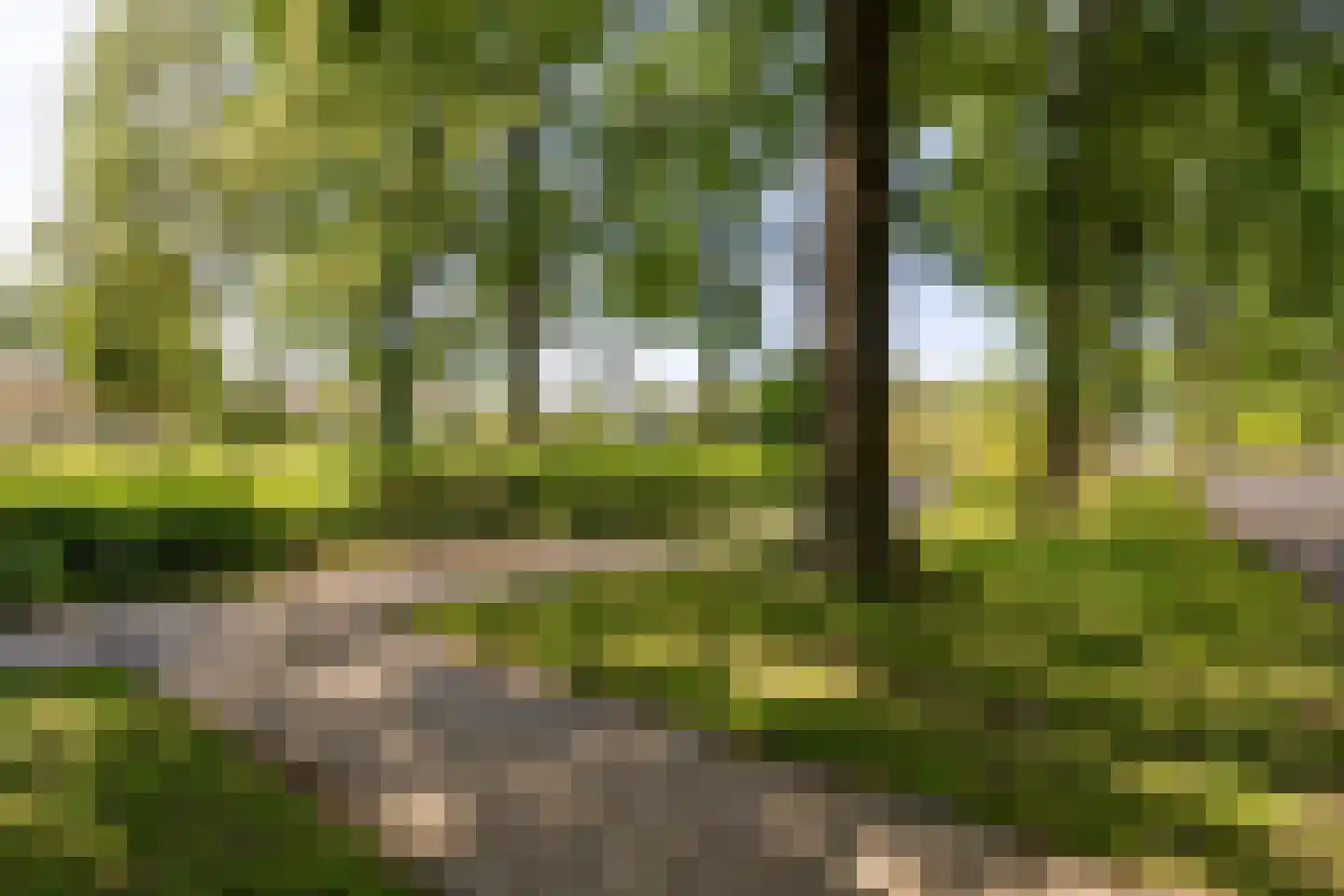 Wegedoorn 31 Geldrop thumbnail 44