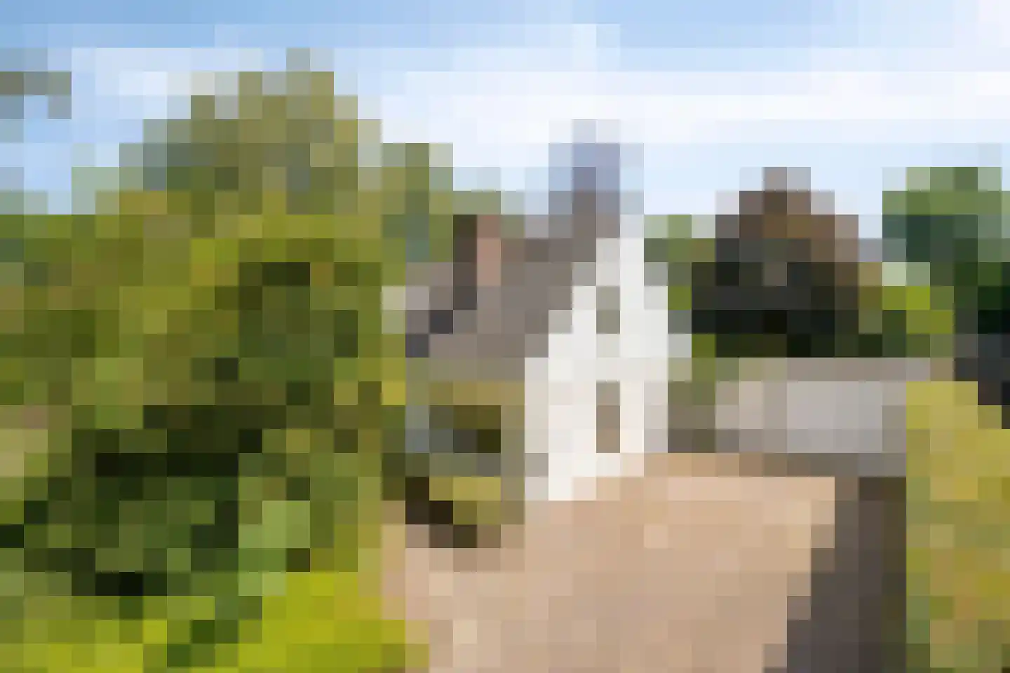 Wegedoorn 31 Geldrop thumbnail 45