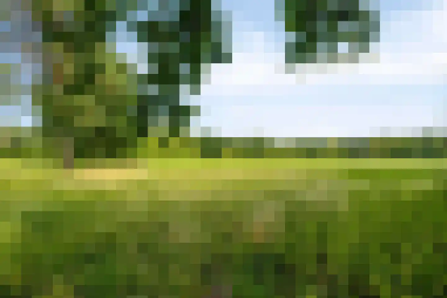 Wegedoorn 31 Geldrop thumbnail 46